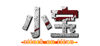 小宝 (attack on titan)