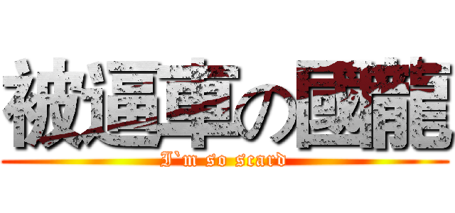 被逼車の國龍 (I`m so scard)