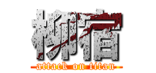 柳宿 (attack on titan)