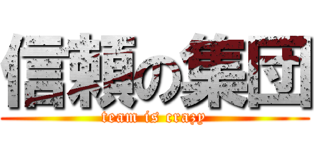 信頼の集団 (team is crazy)