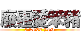 廢霆愛笨豬 (I LOVE YOU)