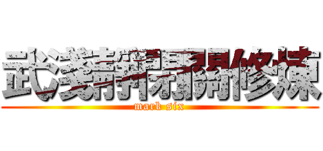 武淺靜閉關修煉 (mark six)