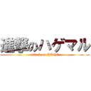 進撃のハゲマル (attack on HAGE)