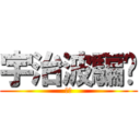 宇治波騙你 (ㄏㄏ)