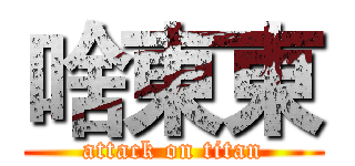 啥東東 (attack on titan)