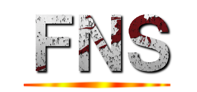ＦＮＳ ()