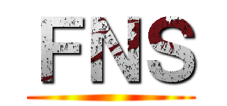 ＦＮＳ ()
