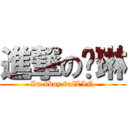 進撃の杨琳 (Im bboy balLIN)