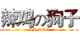辣鸡の狗子 (SB DOG)