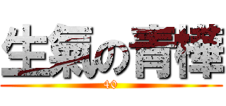 生氣の青樺 (40)