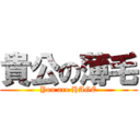 貴公の薄毛 (You are HAGE)