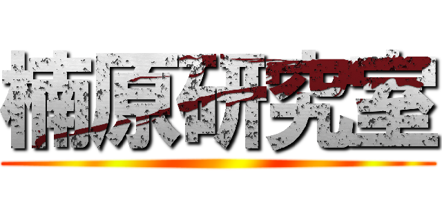 楠原研究室 ()
