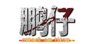 鹏仔 (attack on titan)