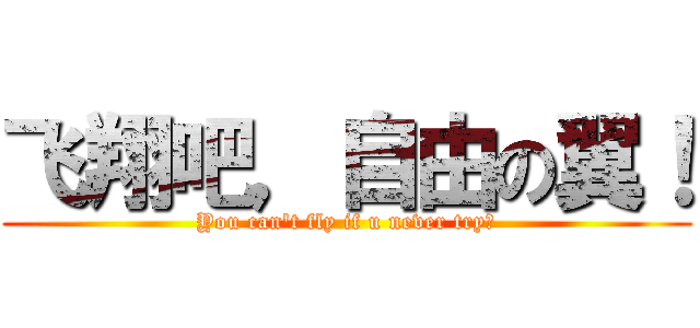 飞翔吧，自由の翼！ (You can't fly if u never try！)