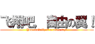 飞翔吧，自由の翼！ (You can't fly if u never try！)