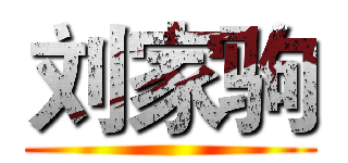 刘家驹 ()