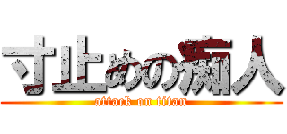 寸止めの痴人 (attack on titan)