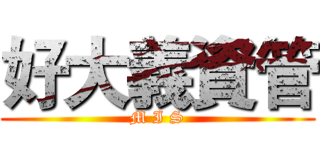 好大義資管 (M I S)