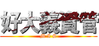 好大義資管 (M I S)