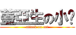 蓋亞生の小貓 (attack on cat)