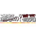 進撃の诸葛亮 (attack on titan)