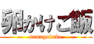 卵かけご飯 (tamagokake)