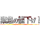 緊急の値下げ！ (Price Down)