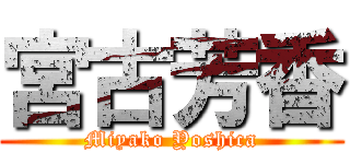 宮古芳香 (Miyako Yoshica)