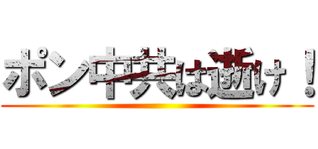ポン中共は逝け！ ()
