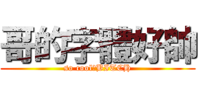 哥的字體好帥 (so cool！BITCH)