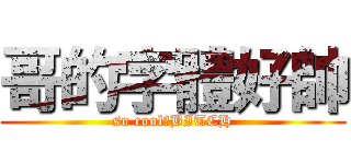 哥的字體好帥 (so cool！BITCH)