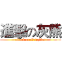 進擊の灰熊 (attack on Grizzlies)