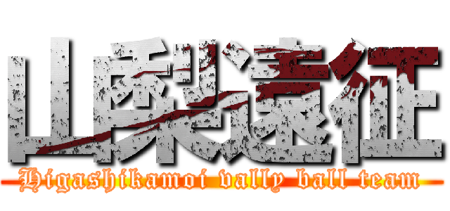 山梨遠征 (Higashikamoi vally ball team)