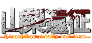 山梨遠征 (Higashikamoi vally ball team)
