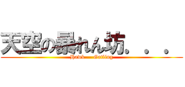 天空の暴れん坊．．． (Hawk     Gatling)