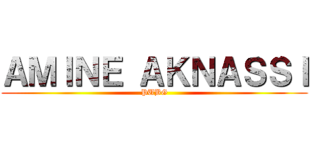 ＡＭＩＮＥ ＡＫＮＡＳＳＩ (PUBG)