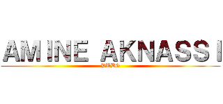 ＡＭＩＮＥ ＡＫＮＡＳＳＩ (PUBG)