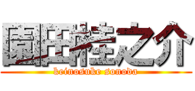 園田桂之介 (keinosuke sonoda)