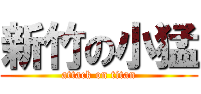 新竹の小猛 (attack on titan)