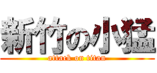 新竹の小猛 (attack on titan)