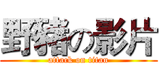 野豬の影片 (attack on titan)