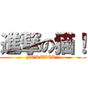 進撃の猫！ (FOREVER!!)