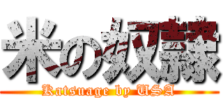 米の奴隷 (Katsuage by USA)