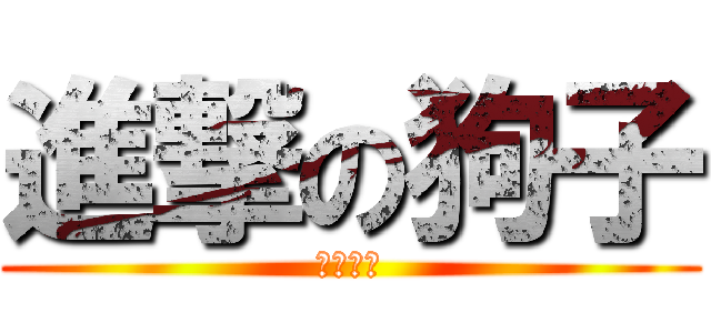 進撃の狗子 (只要襪子)