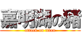 嘉明湖の豬 (attack on titan)