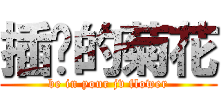 插你的菊花 (be in your jv flower)