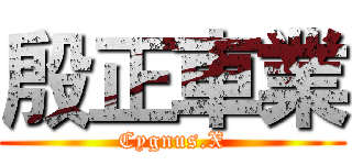 殷正車業 (Cygnus.X)