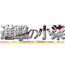 進擊の小柒 (attack on titan)
