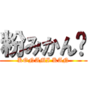 粉みかん🍊 (KONAMI KAN)