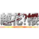 越花满楼 (sound)